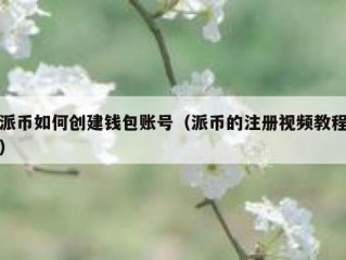 派币如何创建钱包账号（派币的注册视频教程）