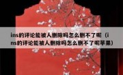 ins的评论能被人删除吗怎么删不了呢（ins的评论能被人删除吗怎么删不了呢苹果）