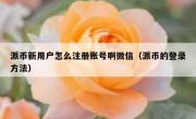 派币新用户怎么注册账号啊微信（派币的登录方法）