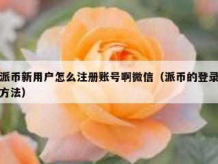 派币新用户怎么注册账号啊微信（派币的登录方法）