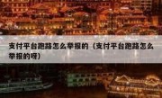 支付平台跑路怎么举报的（支付平台跑路怎么举报的呀）