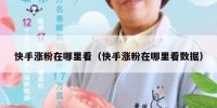 快手涨粉在哪里看（快手涨粉在哪里看数据）