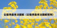 云服务器用法图解（云服务器用法图解视频）