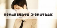 抖音粉丝团客服在哪里（抖音粉丝平台业务）