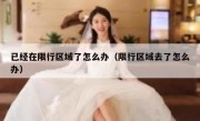 已经在限行区域了怎么办（限行区域去了怎么办）