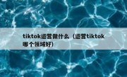 tiktok运营做什么（运营tiktok哪个领域好）