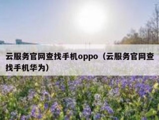 云服务官网查找手机oppo（云服务官网查找手机华为）