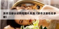 派币注册认证教程图片高清（派币注册姓名步骤）