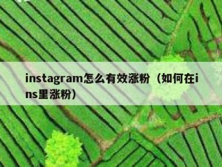 instagram怎么有效涨粉（如何在ins里涨粉）
