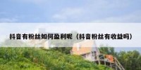 抖音有粉丝如何盈利呢（抖音粉丝有收益吗）