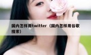 国内怎样用twitter（国内怎样用谷歌搜索）