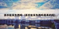 派币能买东西吗（派币能买东西吗是真的吗）