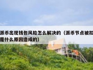 派币出现钱包风险怎么解决的（派币节点被扣是什么原因造成的）