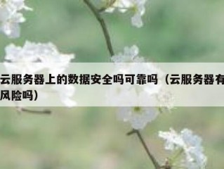 云服务器上的数据安全吗可靠吗（云服务器有风险吗）