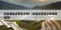抖音增加点赞多少钱?（抖加点赞多少能加热成功）