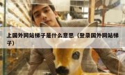 上国外网站梯子是什么意思（登录国外网站梯子）