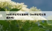 ins的评论可以复制吗（ins评论可以发图片吗）