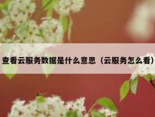 查看云服务数据是什么意思（云服务怎么看）