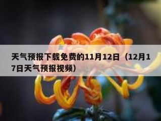 天气预报下载免费的11月12日（12月17日天气预报视频）