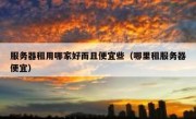 服务器租用哪家好而且便宜些（哪里租服务器便宜）