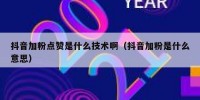 抖音加粉点赞是什么技术啊（抖音加粉是什么意思）