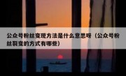 公众号粉丝变现方法是什么意思呀（公众号粉丝裂变的方式有哪些）