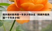租外国的服务器一年多少钱合适（租国外服务器一个月多少钱）