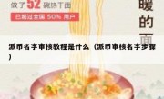 派币名字审核教程是什么（派币审核名字步骤）