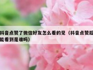 抖音点赞了微信好友怎么看的见（抖音点赞后能看到是谁吗）