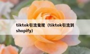 tiktok引流变现（tiktok引流到shopify）