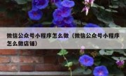 微信公众号小程序怎么做（微信公众号小程序怎么做店铺）