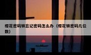 樱花密码锁忘记密码怎么办（樱花锁密码几位数）