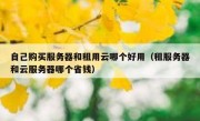 自己购买服务器和租用云哪个好用（租服务器和云服务器哪个省钱）