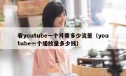 看youtube一个月要多少流量（youtube一个播放量多少钱）