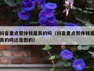 抖音里点赞挣钱是真的吗（抖音里点赞挣钱是真的吗还是假的）