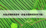 抖音点赞购买软件（抖音点赞购买软件下载）