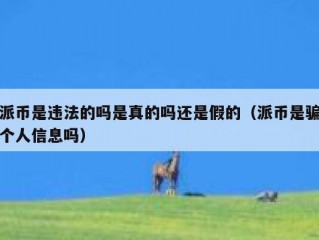 派币是违法的吗是真的吗还是假的（派币是骗个人信息吗）