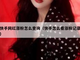 快手网红涨粉怎么查询（快手怎么看涨粉记录）