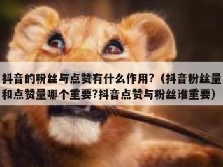 抖音的粉丝与点赞有什么作用?（抖音粉丝量和点赞量哪个重要?抖音点赞与粉丝谁重要）