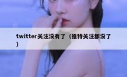 twitter关注没有了（推特关注都没了）