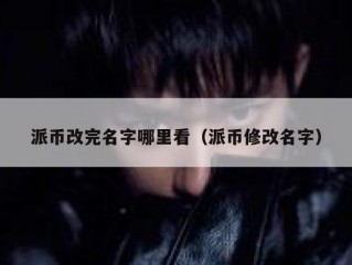派币改完名字哪里看（派币修改名字）