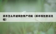 派币怎么开通钱包账户功能（派币钱包激活流程）