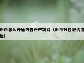 派币怎么开通钱包账户功能（派币钱包激活流程）