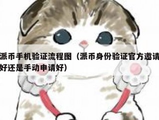 派币手机验证流程图（派币身份验证官方邀请好还是手动申请好）