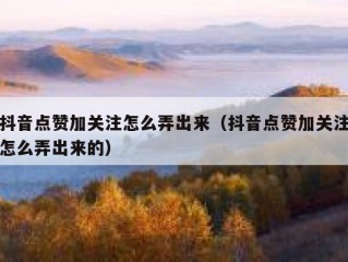 抖音点赞加关注怎么弄出来(抖音点赞加关注怎么弄出来的)