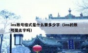 ins账号格式是什么要多少字（ins的账号是名字吗）