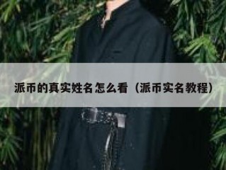 派币的真实姓名怎么看（派币实名教程）