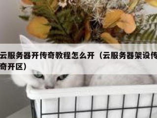 云服务器开传奇教程怎么开（云服务器架设传奇开区）