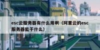 esc云服务器有什么用啊（阿里云的esc服务器能干什么）
