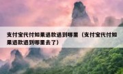 支付宝代付如果退款退到哪里（支付宝代付如果退款退到哪里去了）